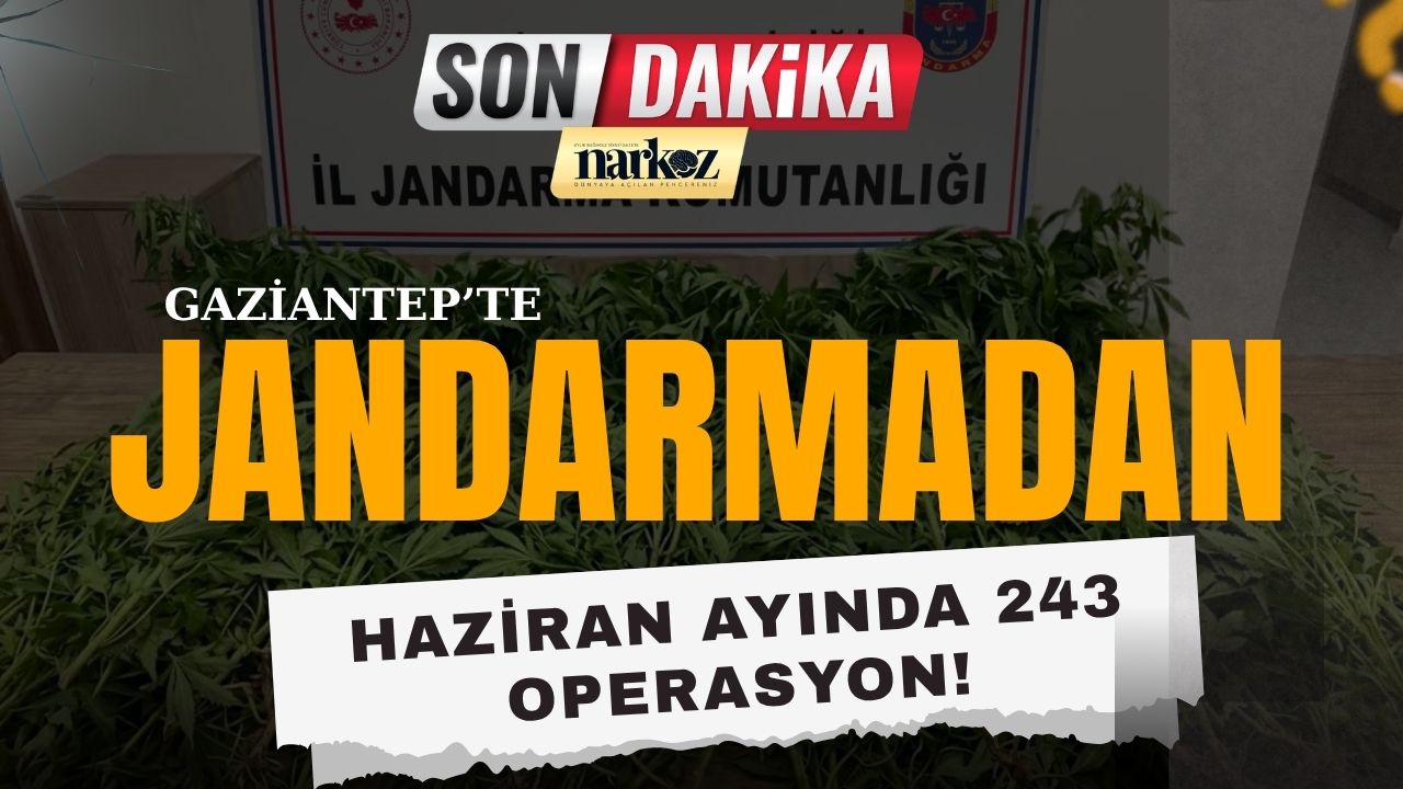 Gaziantep Jandarmasından Kaçakçılık ve Uyuşturucuya Büyük Darbe Haziran Ayında 243 Operasyon!