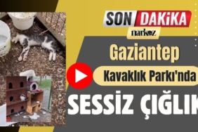 GASTROANTEP’te yerli ve yabancı şeflerden WORKSHOP thumbnail