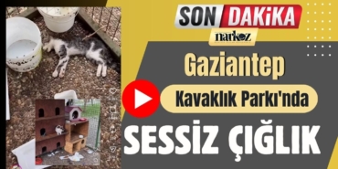 Gaziantep Kavaklık Parkı'nda Sessiz Çığlık Bir Yaşam Alanı Nasıl Ölüme Dönüştü