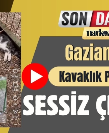 Gaziantep Kavaklık Parkı'nda Sessiz Çığlık Bir Yaşam Alanı Nasıl Ölüme Dönüştü