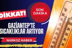 Nikah Memuruna Tokat Etkisi! Gelin, Damadın Elini Geri Çekti, Sosyal Medya Yıkıldı thumbnail