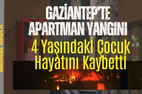 Sadettin Saran Fenerbahçe'nin Yeni Başkanı Oldu thumbnail