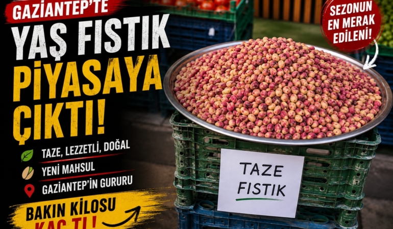 Gaziantep’te Yaş Fıstık Tezgâha İndi Fiyatını Görenler Şaşkına Döndü!