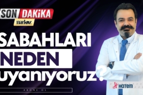 Sabahları neden yorgun Uyanıyoruz