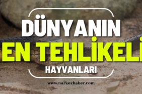 Gaziantep’te 830 Gramlık Mucize: 144 Gün Sonra Sağlığına Kavuştu