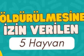 Mehmet Tahmazoğlu Ticaret Bakanı olacak iddiası