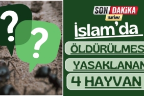 Mehmet Tahmazoğlu Ticaret Bakanı olacak iddiası