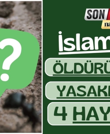 islamda-öldürülmesi-yasak