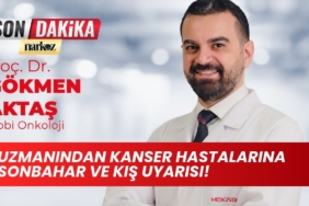 Taş Kırmada Ağrısız ve Güvenilir Yöntem, Şok Dalga Tedavisi