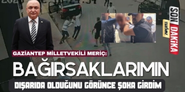 yeni-parti-melih-meriç