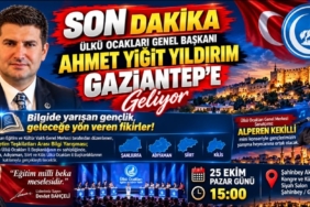 Gaziantep TAG Otoyolu’nda Mandalina Yüklü Kamyon Devrildi