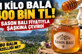 Anne sütü birçok hastalıktan koruyor