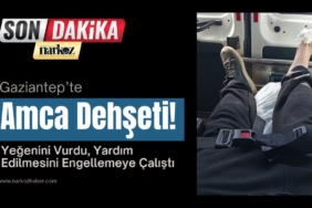 Kaplan, "Yenilenmeyen yenilir"
