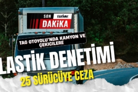 kamyon-denetim