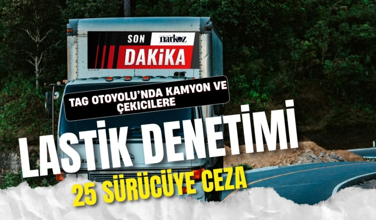 kamyon-denetim