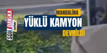 Gaziantep TAG Otoyolu’nda Mandalina Yüklü Kamyon Devrildi